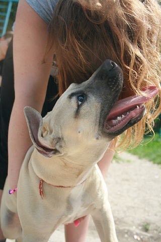 Валерия Макар-Водопяк ☆ | Кишинев