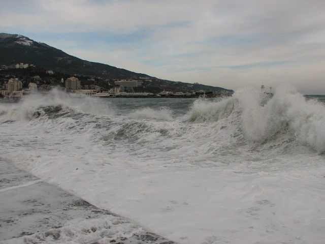 Елисей Бороздин | Ялта