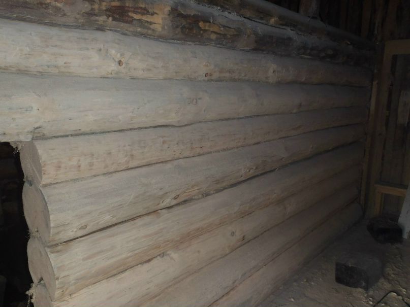 Денис Кургузов *<люблю | Няндома