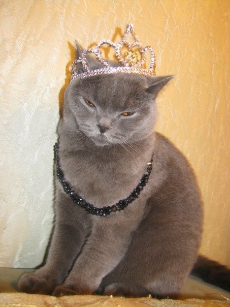 Алина Хабибулина | Москва