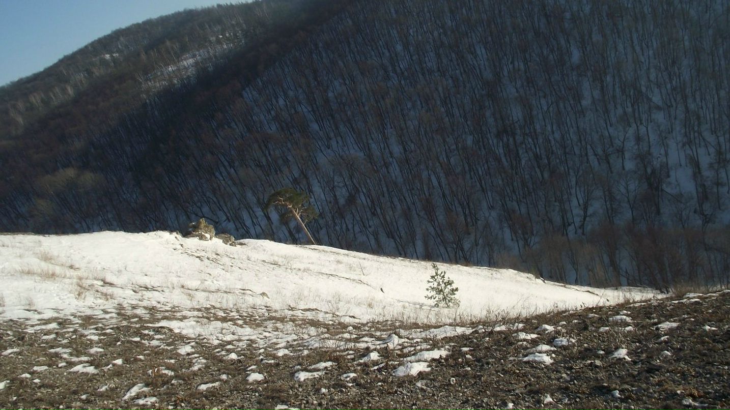 Анна Пахомова-Шестакова | Улан-Удэ