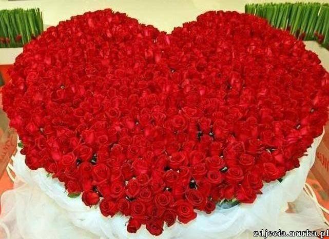 Андрей Ярош Jerronimo | Владивосток