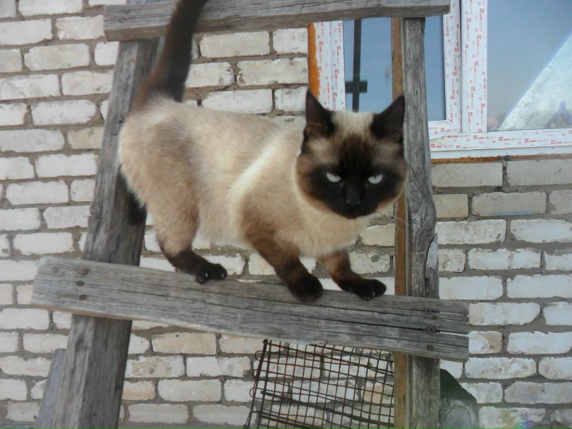 Виталий Кожевяткин | Сергач