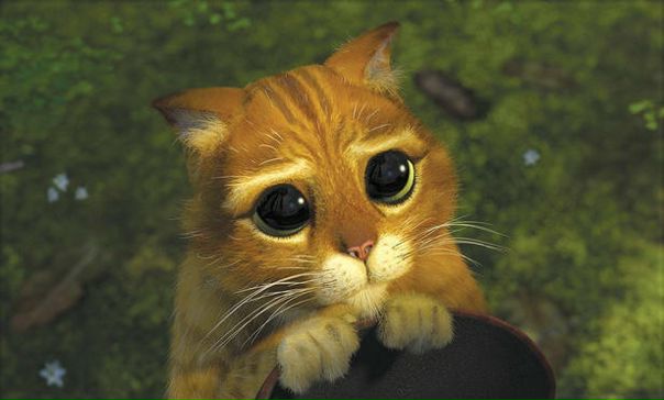 №95, Руслан Валутов, Серпухов, Россия №95, Руслан Валутов, Серпухов, Россия