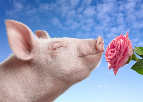 №69, Марат Хайрулин, 16 лет, Казань, Россия №69, Марат Хайрулин, 16 лет, Казань, Россия