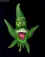 №2, Александр Катин №2, Александр Катин