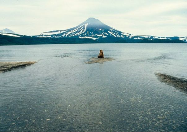 №128, Павел Калашников, 35 лет, Симферополь №128, Павел Калашников, 35 лет, Симферополь