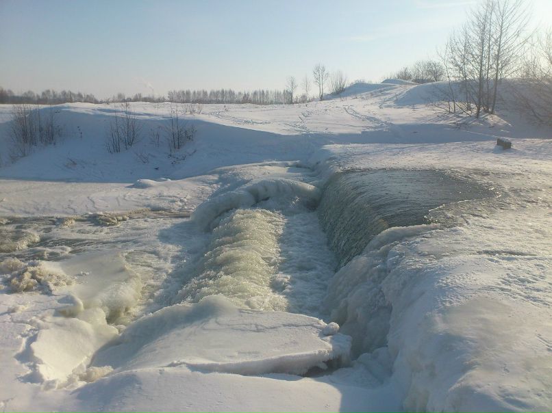 Виктория Куртасова | 