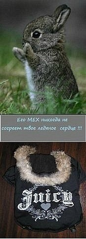 Олеся Мартынова | Энгельс