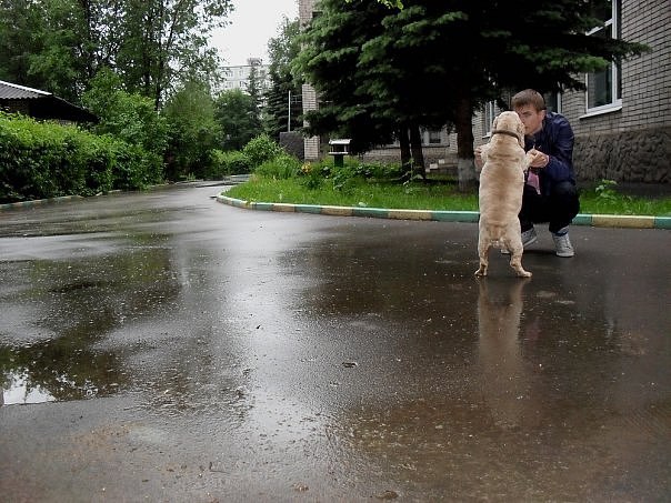 Артур Смелянский | Черкассы