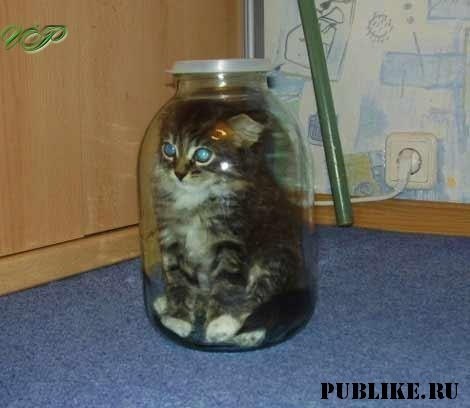 №93, Тарас Чупира, 06.10, Черняхов №93, Тарас Чупира, 06.10, Черняхов