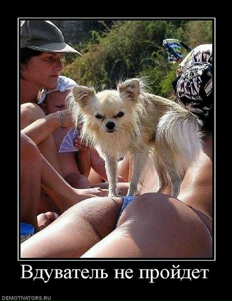 №51, Родион Григорьевич, 37 лет, Санкт-Петербург, Россия №51, Родион Григорьевич, 37 лет, Санкт-Петербург, Россия