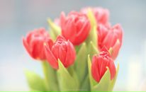 №20 Светлана Бургацкая 02.03: профиль, фото, статус - ВКонтакте №20 Светлана Бургацкая 02.03: профиль, фото, статус - ВКонтакте