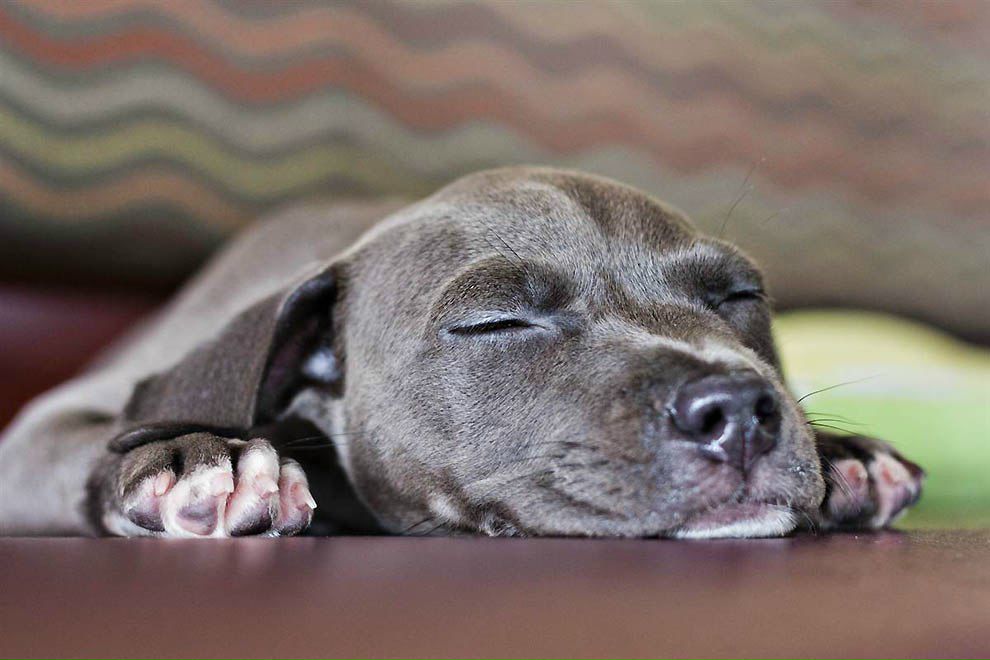 Катерина Лаврова | Николаев