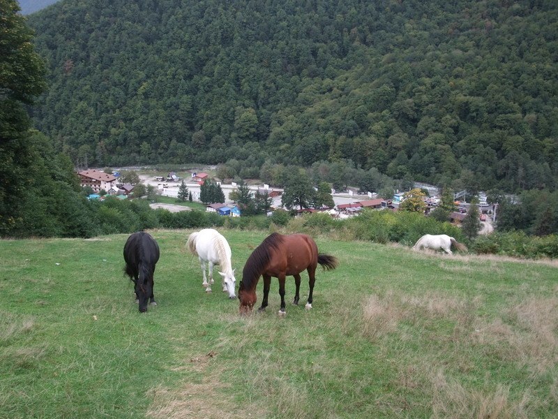Лена Пентина | Киров