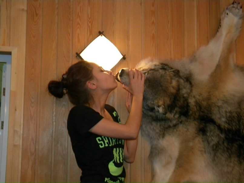 Юлия Завьялова | Ярославль