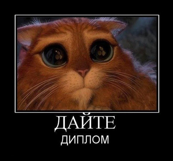 Евгений Гном | Архангельск