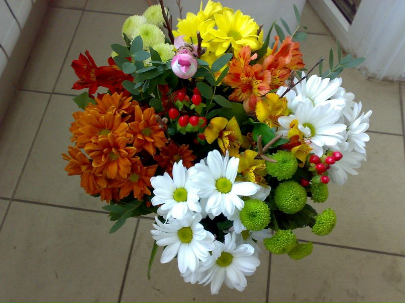 Маргарита Лушникова | Омск