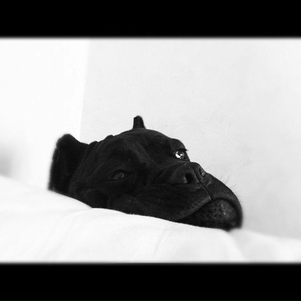 №22, Соня Фернандес, 38 лет, Москва, Россия №22, Соня Фернандес, 38 лет, Москва, Россия