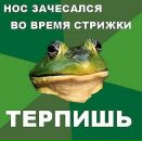 Фотография Виталий Шкуренко