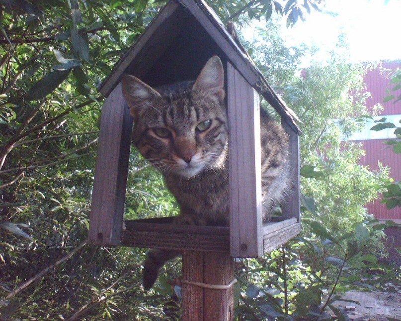 Илья Вашута | Архангельск