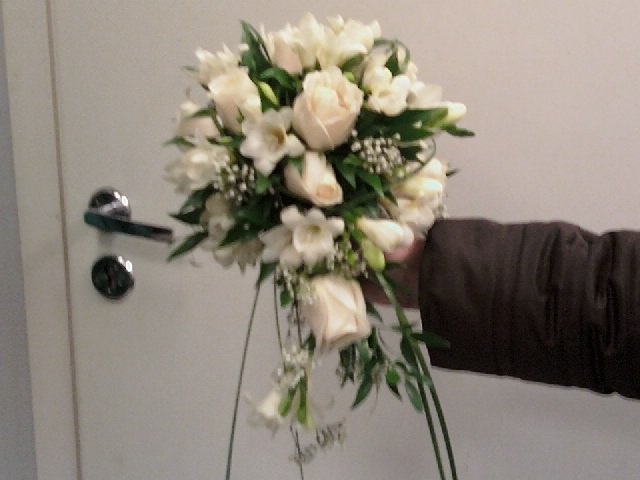 Полина Козлова | Санкт-Петербург