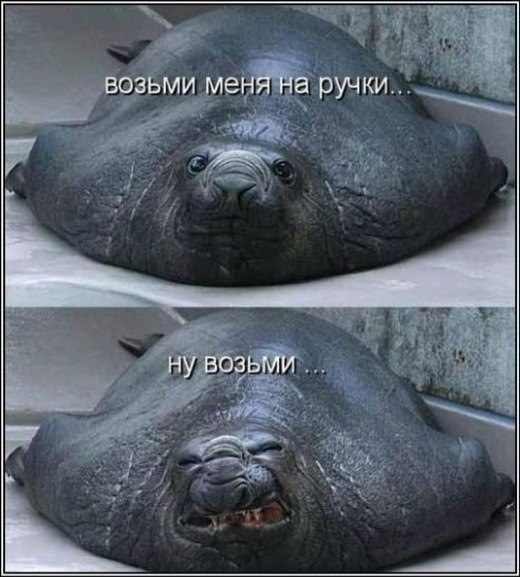 Александр Жуковец | Киев