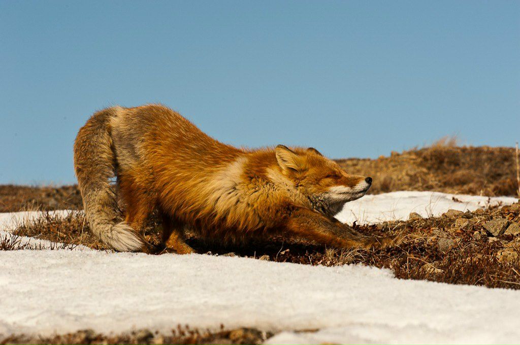 Катерина Терехина | Москва