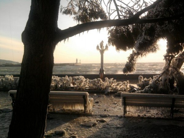 Алексей Терещенко poZitiF | Днепр (Днепропетровск)