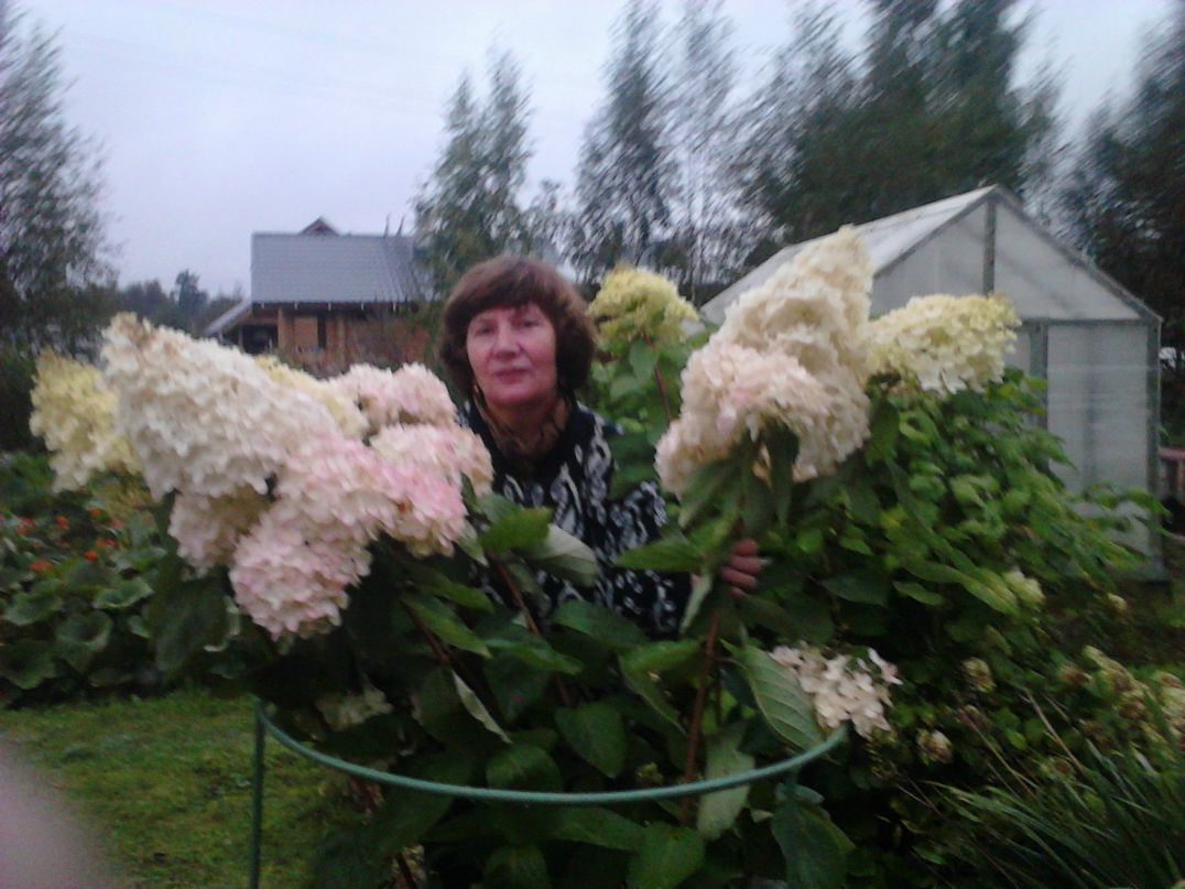 Надежда Истомина | Санкт-Петербург