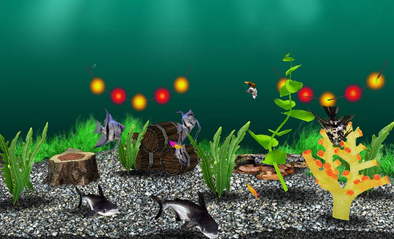 Семен Тарасов | Екатеринбург