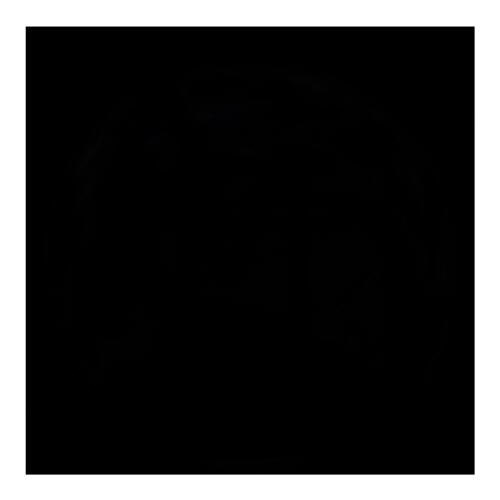 Александр Земцов | Волгоград