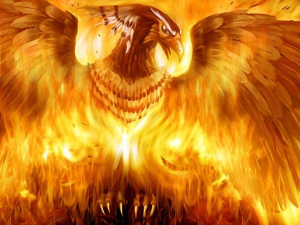 Aleksandr Shabada FeniX | Киев