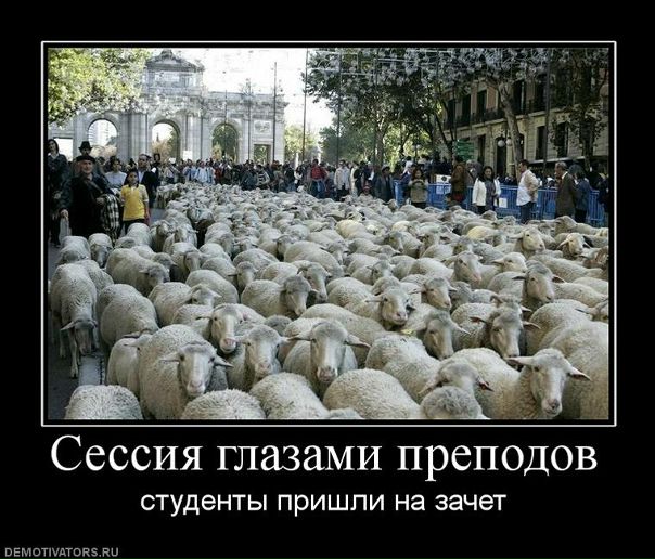 №106, Олександр Минзак, Черновцы №106, Олександр Минзак, Черновцы