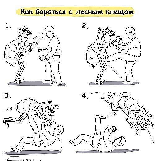 №179, Дарья Широкова Ведущая Мероприятий, Санкт-Петербург №179, Дарья Широкова Ведущая Мероприятий, Санкт-Петербург