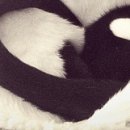 №55, Нина Добрев, 36 лет, Los Angeles, США №55, Нина Добрев, 36 лет, Los Angeles, США