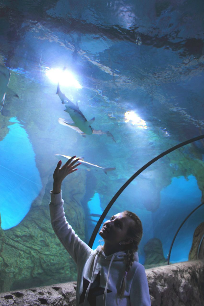 Лида Каминская | Москва