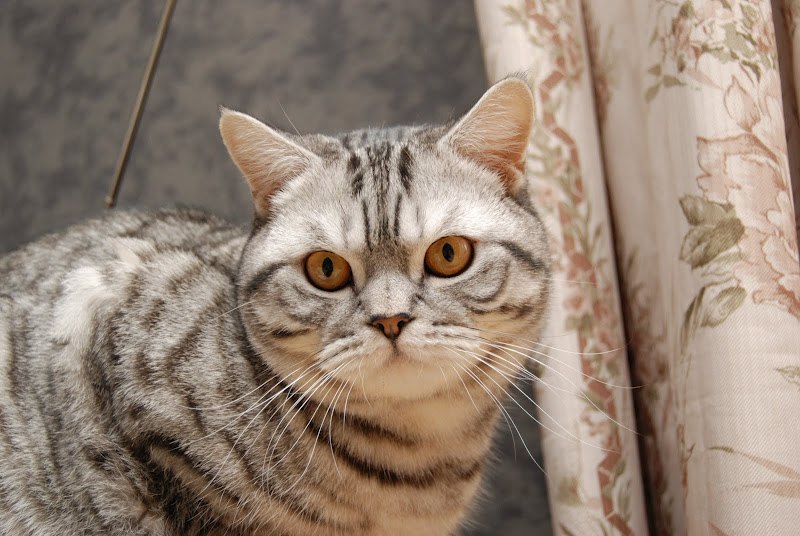 Павел Васильев | Запорожье