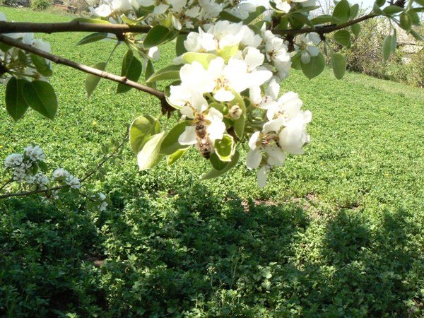 №33, Юлия Кагарличенко, Кропивницкий / Кировоград №33, Юлия Кагарличенко, Кропивницкий / Кировоград