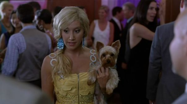 №1, Шарпей Эванс, 30 лет, Boston №1, Шарпей Эванс, 30 лет, Boston