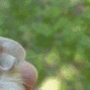 №95, Дима Ангел, Черноморск / Ильичевск №95, Дима Ангел, Черноморск / Ильичевск