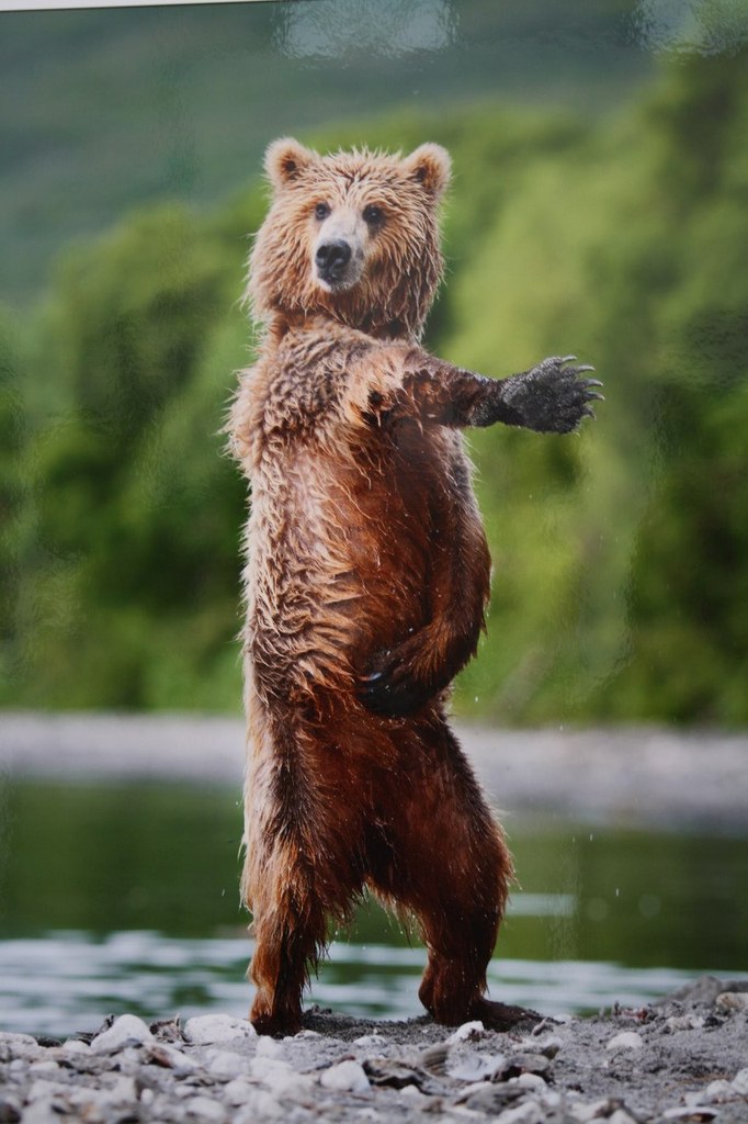 Ольга Лапшенкова | Москва