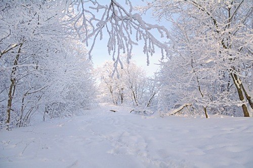 Света Васильева | Санкт-Петербург