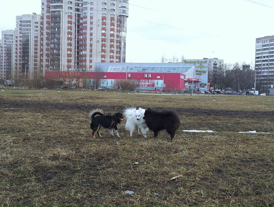 Светлана Алдунова | Санкт-Петербург