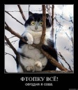 №2 Юлечка Шипилова 22.08.1986: профиль, фото, статус - ВКонтакте