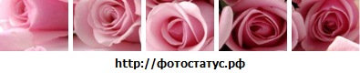 №21, Богдана Левенец, Белая Церковь №21, Богдана Левенец, Белая Церковь