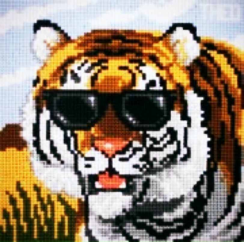 Damir Kyzyr ZoMb1e | Алматы