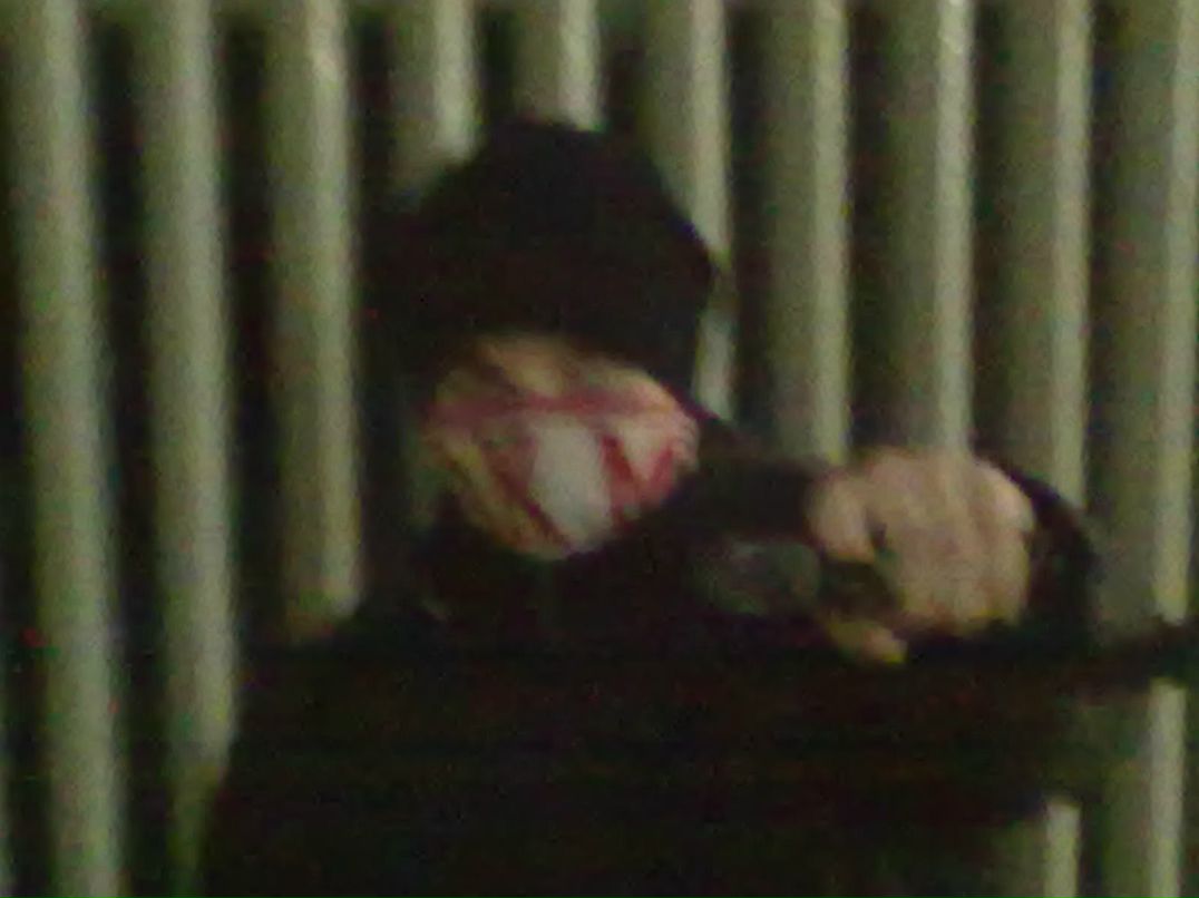 Дмитрий Юдашев О.У.К.Б | Москва