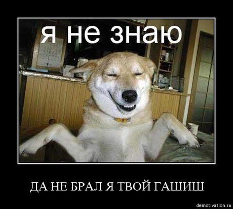 Павло Томаш (@_@) | Снятин