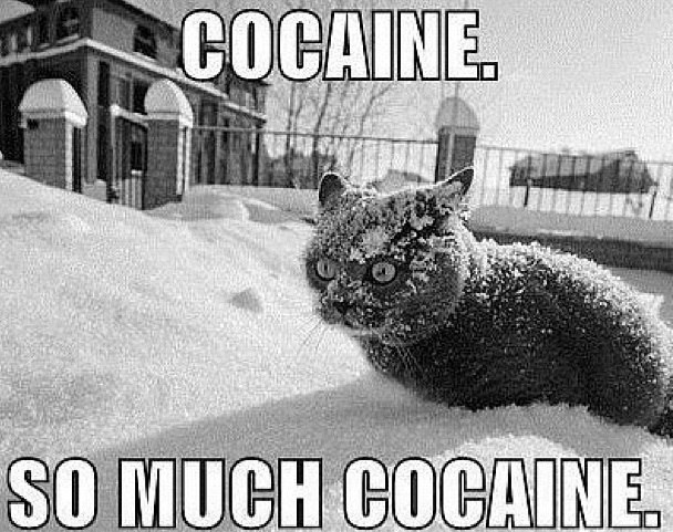 Александр Котов КоТейко | Казань